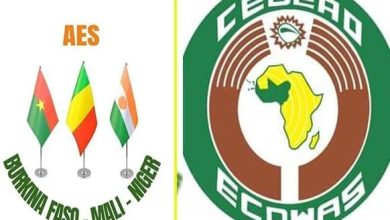 Photo of ECOWAS Council, Commission President dragged to community court over AES staff natter