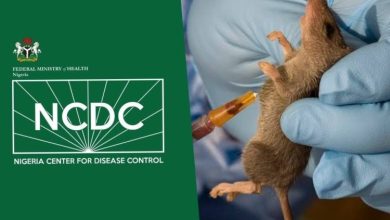 Photo of Lassa fever death toll in Nigeria jumps to 160, highest in years