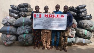 Photo of Drugs in Snails: NDLEA busts shocking smuggling trick to US, UK, DRC