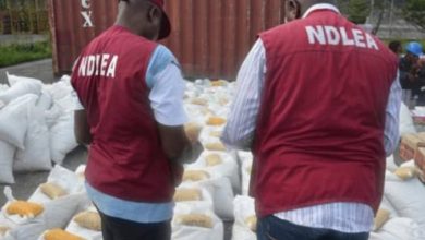 Photo of Suspected drug barons attack NDLEA operatives, soldiers 