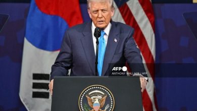 Photo of 3,100 Christians killed in Nigeria out of 4,476 worldwide, says Trump 