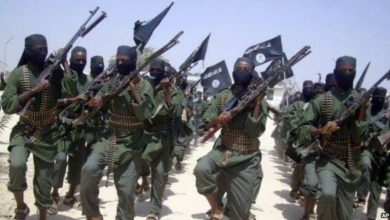 Photo of Terror Alert: ISWAP terrorists plan attack on two states, DSS raise the alarm 