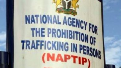 Photo of Child trafficking syndicate in Benue bursted, 26 children rescued, orphanage founder nabbed 