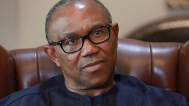 Photo of Nigeria can generate more revenue from agriculture than from crude oil — Peter Obi
