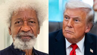 Photo of United States permanently revokes Wole Soyinka’s visa