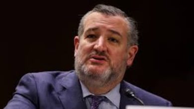Photo of Country of Particular Concern: Meet Ted Cruz, the US senator who made Nigeria’s Christian genocide claim a global issue