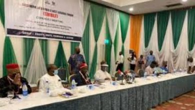 Photo of Southern, Middle Belt leaders raise alarm over emerging one-party, collapse of democracy 