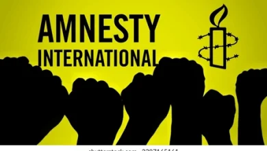 Photo of Amnesty International condemns FG’s failure to address insecurity in South-East 