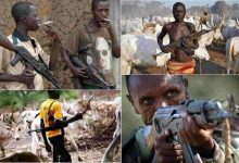 Photo of Rescued Benue UTME candidates finger arrested herdsmen as kidnappers