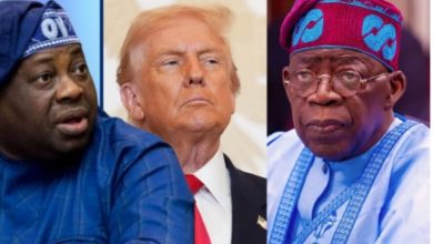 Photo of Trump convinced Nigerian govt not ready to tackle insecurity – Dele Momodu