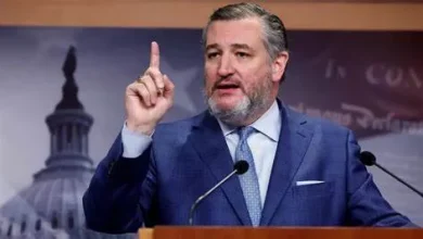 Photo of Nigeria’s Sharia law, other policies create room for Christian persecution, genocide – US Senator Ted Cruz