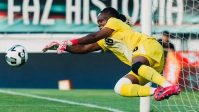 Photo of Nigeria’s Super Falcon Nnadozie nominated for 2025 FIFA The Best Award [FULL LIST]