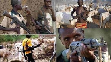 Photo of Unending Mayhem: 4 killed, many severely injured as Fulani herdsmen storm Benue again