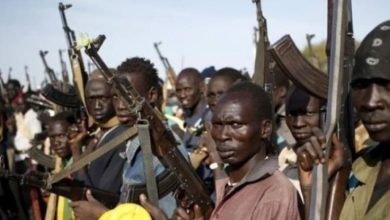 Photo of Seven Cameroonians arrested in Nigeria for banditry