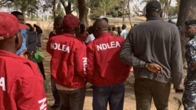 Photo of Confusion, outrage as NDLEA opens fire during market raid, injured youth rushed to hospital