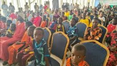 Photo of How remaining 130 abducted Catholic schoolchildren were rescued in Niger — NSA