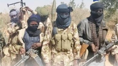 Photo of Bandits attack three Kebbi villages, kill 8 residents 