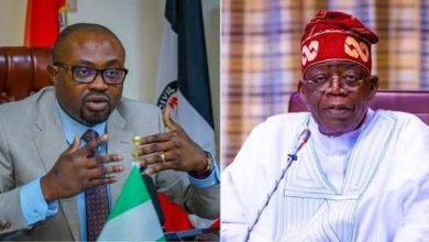 Photo of Certificate Scandal: Calls for Interior Minister’s resignation intensify, Tinubu under pressure to sack him 