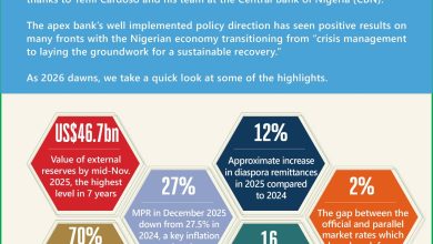 Photo of How will Yemi Cardoso and the CBN fare in 2026? – Toni Kan