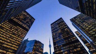 Photo of Wet and wild Toronto, By Amanze Obi