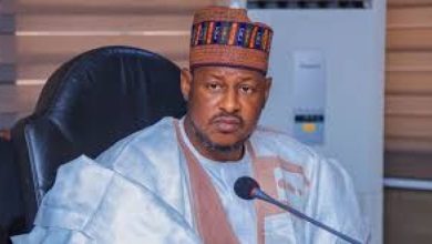 Photo of Amnesty Gone Sour: Fury, outrage as Katsina govt moves to release 70 bandits  