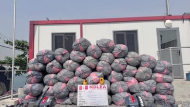 Photo of NDLEA recovers tons of illicit drugs in raids across 13 states