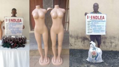 Photo of NDLEA nabs 80-year-old ex-convict, uncovers illicit drugs hidden in mannequins