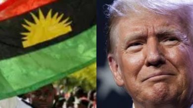 Photo of IPOB holds pro-Trump rally in South-East, demands Nnamdi Kanu’s release
