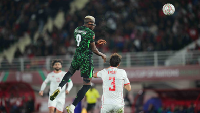 Photo of Africa Cup of Nations: Super Eagles ready for decisive encounter with Algeria’s Desert Foxes