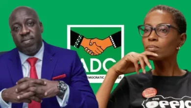 Photo of When did I join your party? – Activist Adamolekun rejects ADC manifesto committee membership