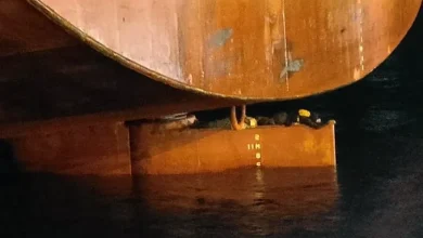Photo of West Africa stowaway cases surging despite repeated shipboard checks