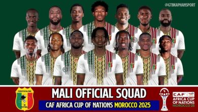 Photo of Africa Cup of Nations: Native doctor who promised Mali victory after collecting €33,500, arrested