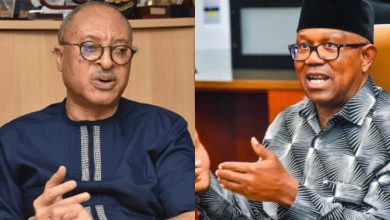 Photo of I’ll walk away from Peter Obi’s corner if he accepts to be someone’s VP — Pat Utomi