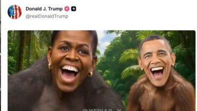 Photo of Trump sparks outrage with racist portrayal of Obamas as apes