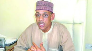 Photo of ‘Strong-willed and Hard to Guide’ — Baba-Ahmed opens up on El-Rufai