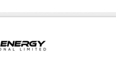 Photo of Alleged $25.5m Debt: Court appoints interim administrator for Green Energy, Lekoil
