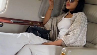 Photo of Forensic review contradicts Oshiomhole’s AI claim over viral romance jet video