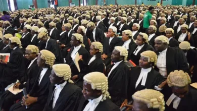 Photo of 114 universities accredited to run law programmes in Nigeria [FULL LIST]