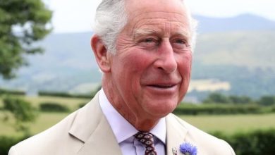 Photo of Royal Storm: ‘Let the law take its course’ — King Charles reacts to younger brother Prince Andrew’s arrest