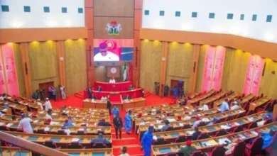 Photo of Budget Row: Senate threatens to slash Accountant-General’s allocation to zero