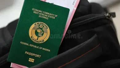 Photo of FG uncovers massive visa abuse as 840,000 foreigners overstay in Nigeria