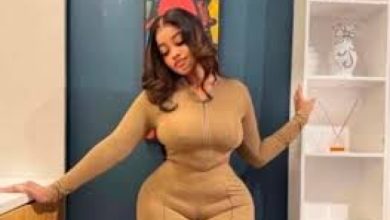 Photo of Lagos launches probe into socialite Elena’s death after cosmetic surgery