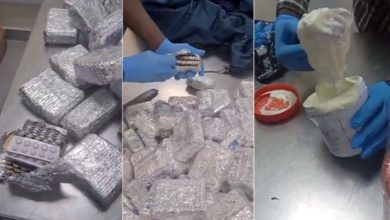 Photo of Drugs concealed in cream, jackets seized at Lagos Airport