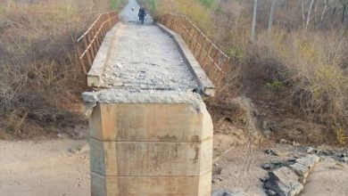 Photo of Eight feared dead as terrorists bomb Niger bridge
