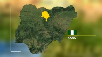 Photo of Tragedy: Woman who delivered quintuplets in Kano dies