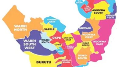 Photo of Anioma state creation a historical necessity, not politics — Igbo Elders