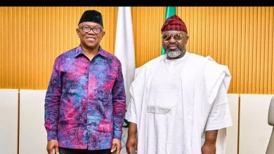 Photo of DSS arrests Kaduna cleric after hosting Peter Obi, sparks outrage