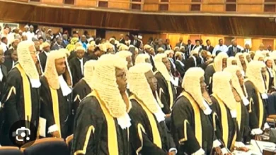 Photo of Amnesty Poll: 97% respondents say Nigerian judges lack independence