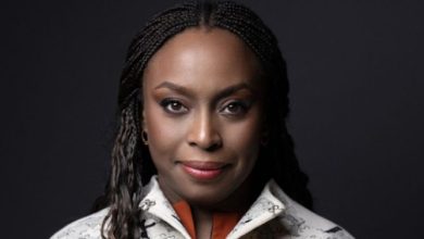 Photo of Death of Chimamanda Adichie’s Son: Medical panel suspends hospital director, others