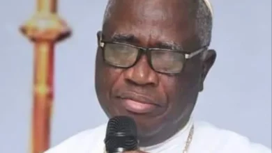 Photo of Disgruntled politicians importing bandits into Nigeria — Prelate Emeritus Kanu Uche raises alarm